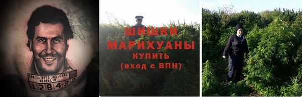 прущие крисы Белоозёрский