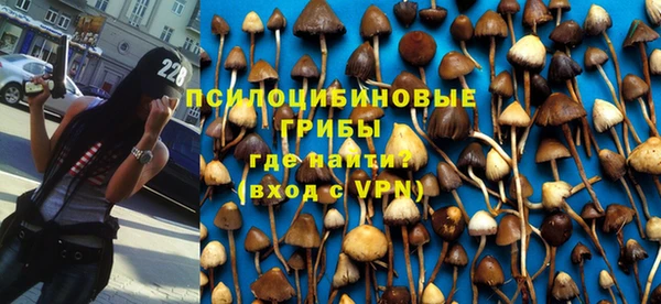 спиды Белокуриха